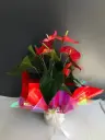Saksı çiçekleri