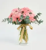 Pembe Düşler Gerbera Aranjmanı Paşabahçe Vazoda